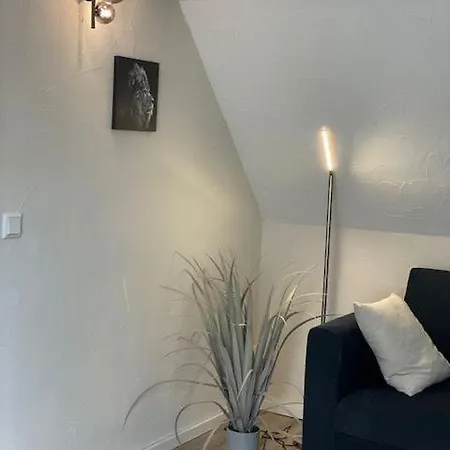 Eulennest Drolshagen