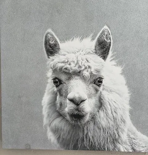 Apartamento Eulennest Drolshagen